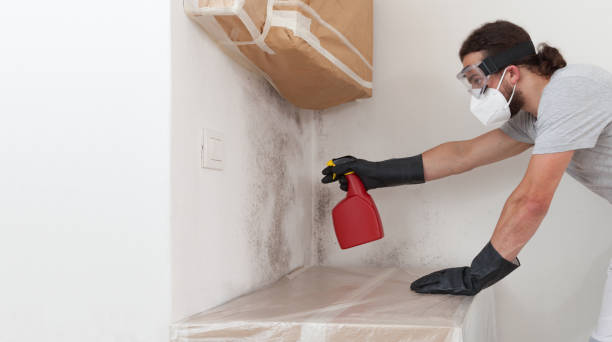 Professional Mold Inspection And Testing technician working in Boxborough, MA